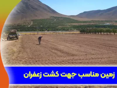 ۲۱۲۱۱-بهترین خاک زمین مناسب جهت کشت زعفران با بالاترین سوددهی کشاورزان برای آموزش کاشت زعفران در ایران